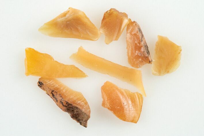 Eight Kansas Amber (Jelinite) Fragments - George Jelinek Collection #201449